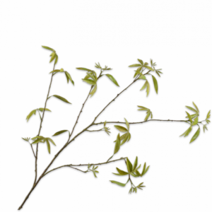 Esdoorn tak groen 126cm